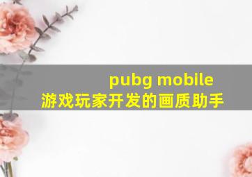 pubg mobile 游戏玩家开发的画质助手